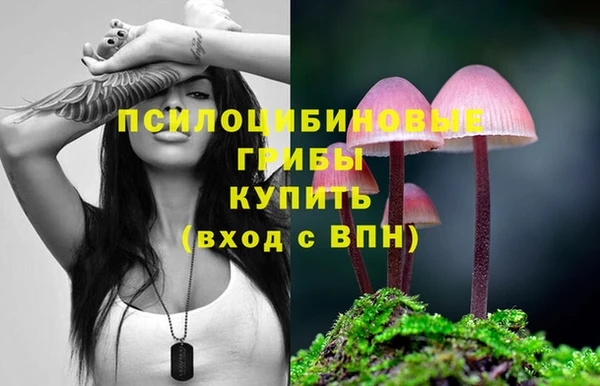 МДМА Заволжье