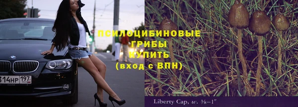 гидропоника Заводоуковск