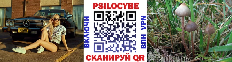 Псилоцибиновые грибы Magic Shrooms  Купить где  Слободской 